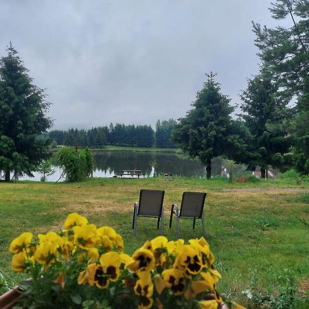 Mieszkanie Nad Jeziorem Rydzowka+Prywatny Staw+Plaza+Mazury Srokowo Dış mekan fotoğraf